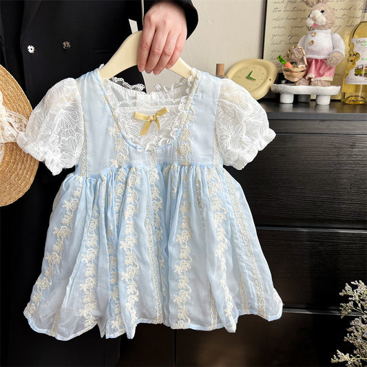 Sky Blue Embroidered Lace Puff Sleeve Frock – TYM-TZO-030
